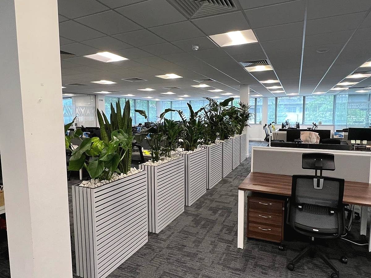 Open plan office fit-out with slatted planters, desks and suspended ceiling